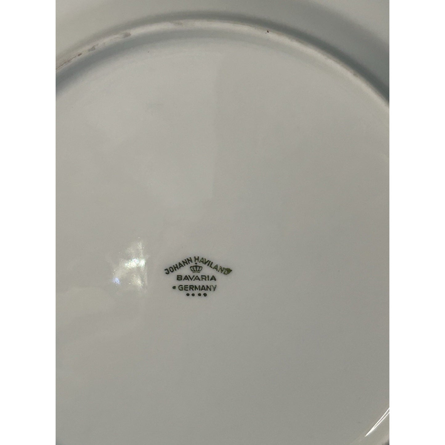4 Johann Haviland “Forever Spring” 10” Dinner Plates Porcelain Germany EUC