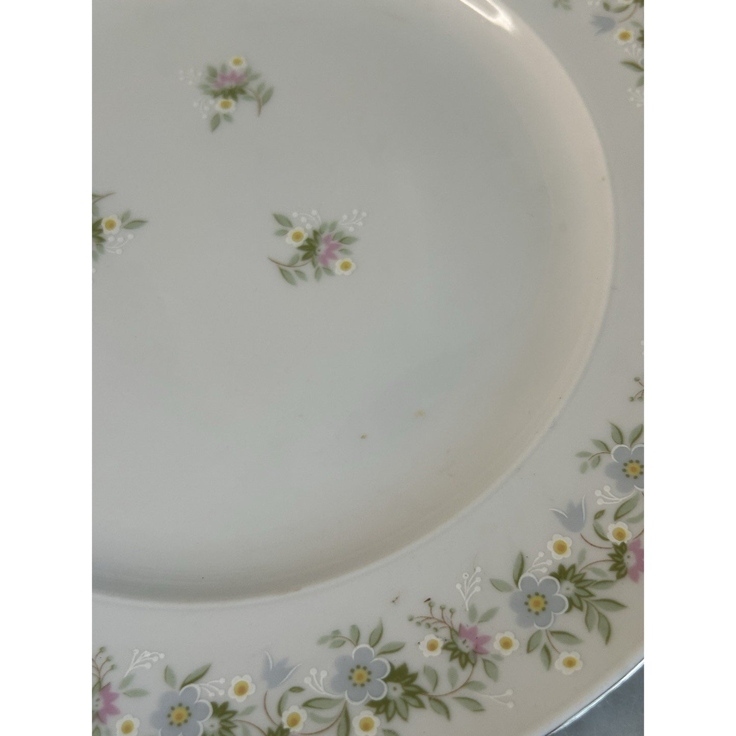 4 Johann Haviland “Forever Spring” 10” Dinner Plates Porcelain Germany EUC