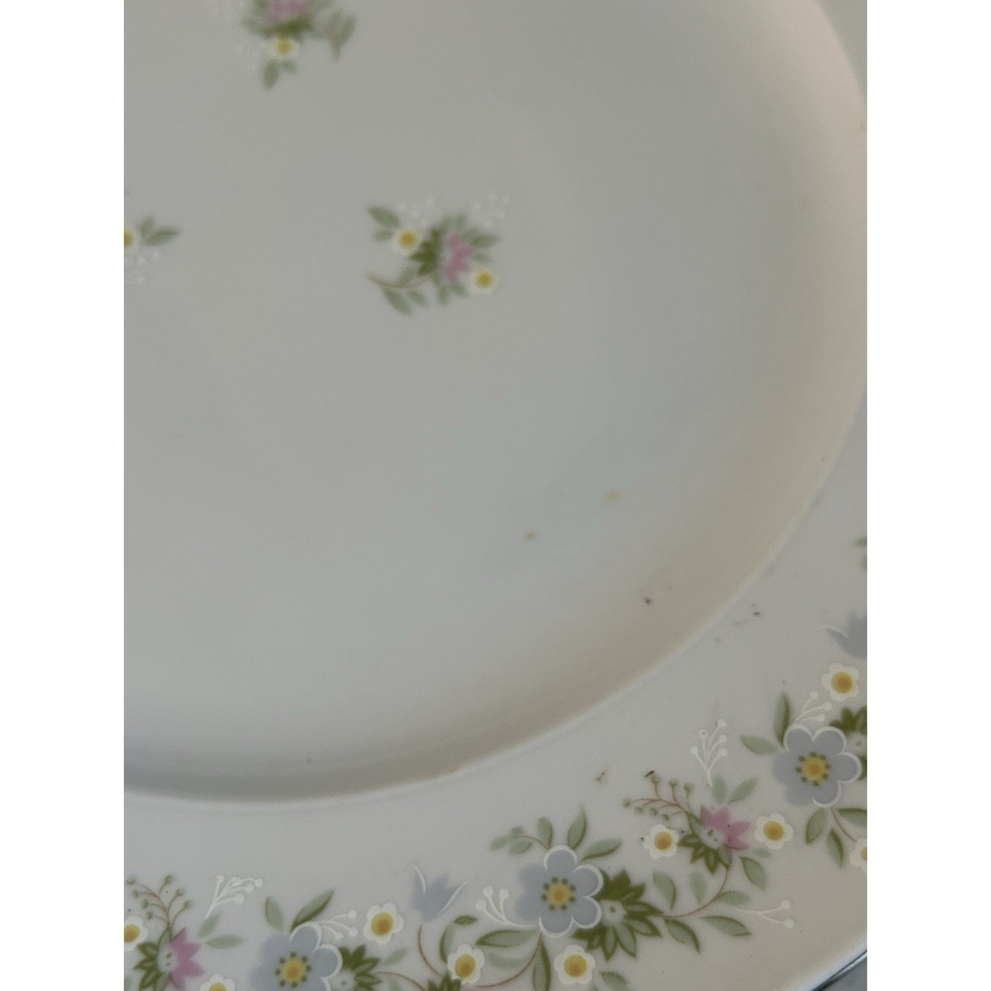 4 Johann Haviland “Forever Spring” 10” Dinner Plates Porcelain Germany EUC