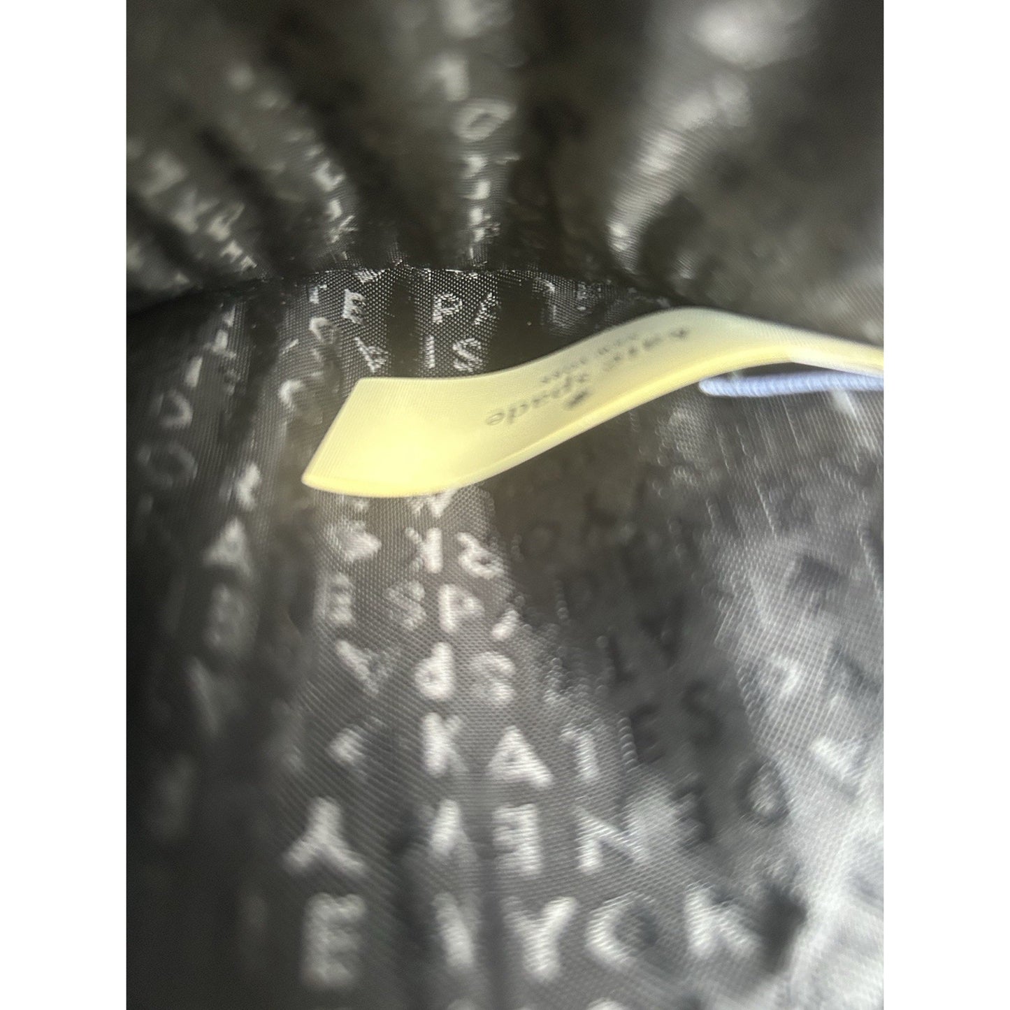 Kate Spade Leopard Coin Purse Novelty Run Wild Black Jewel Wristlet Red Rose New